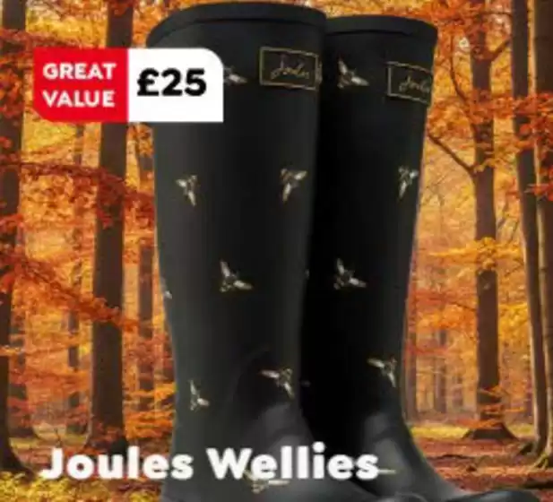 The Original Factory Shop catalogue | Joules Wellies | 2025-10-20T00:00:00.000Z - 2025-10-29T00:00:00.000Z