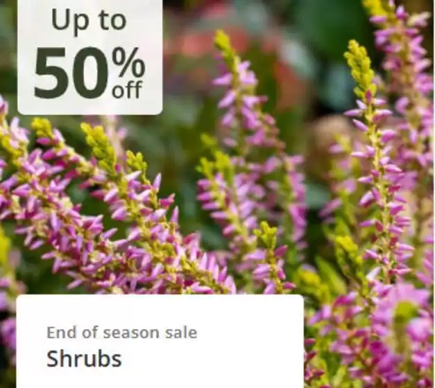 Crocus catalogue in Manchester | Up To 50% Off/ | 2025-10-21T00:00:00.000Z - 2025-11-08T00:00:00.000Z