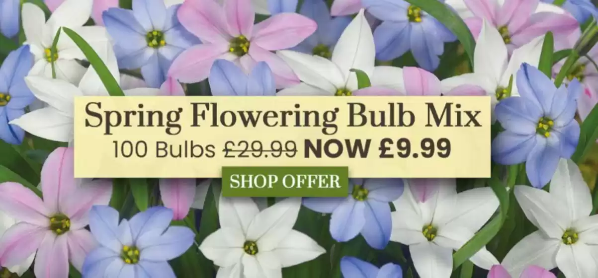 Dobbies Garden Centre catalogue in Glasgow | Spring Flowering Bulb Mix | 2025-10-22T00:00:00.000Z - 2025-11-26T00:00:00.000Z