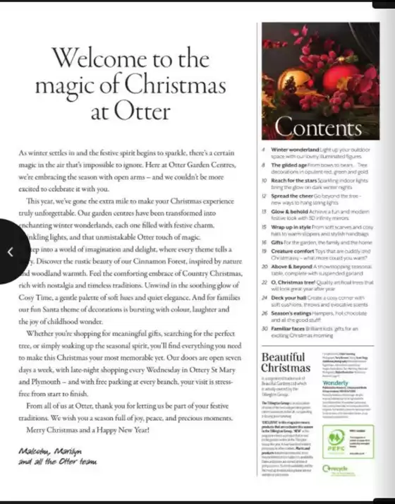 Reasons To Be Joyful