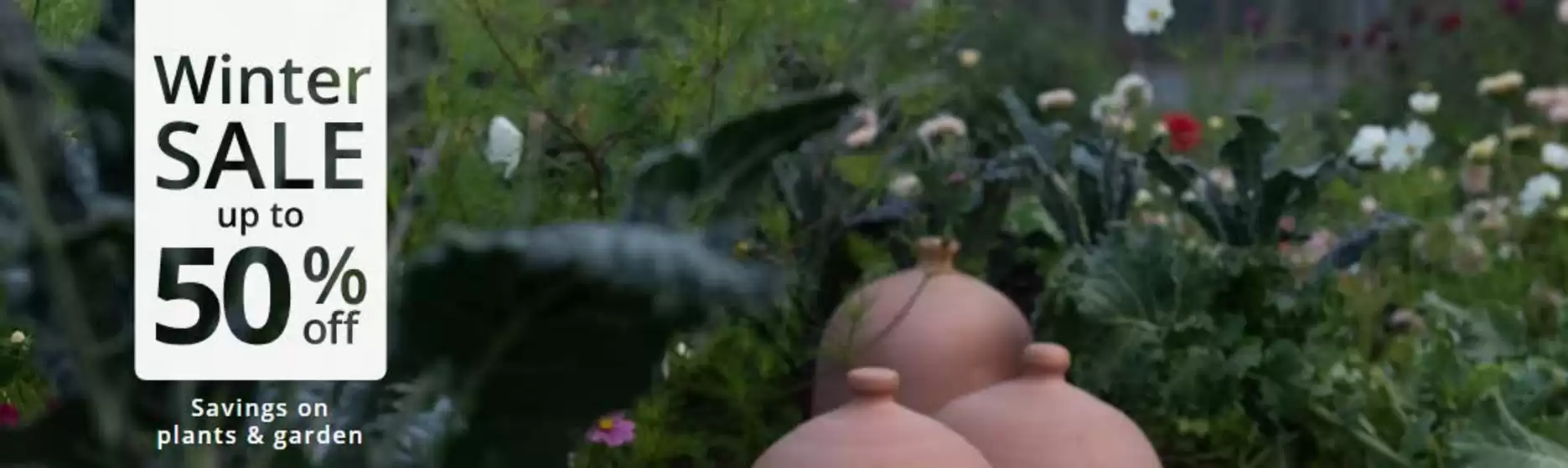 Crocus catalogue in Norwich | Winter Sale Up To 50% Off~ | 2025-12-24T00:00:00.000Z - 2026-01-13T00:00:00.000Z