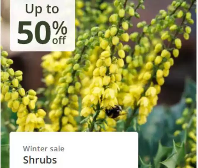 Crocus catalogue in Maidstone | Up To 50% Off ~~ | 2026-01-16T00:00:00.000Z - 2026-02-12T00:00:00.000Z