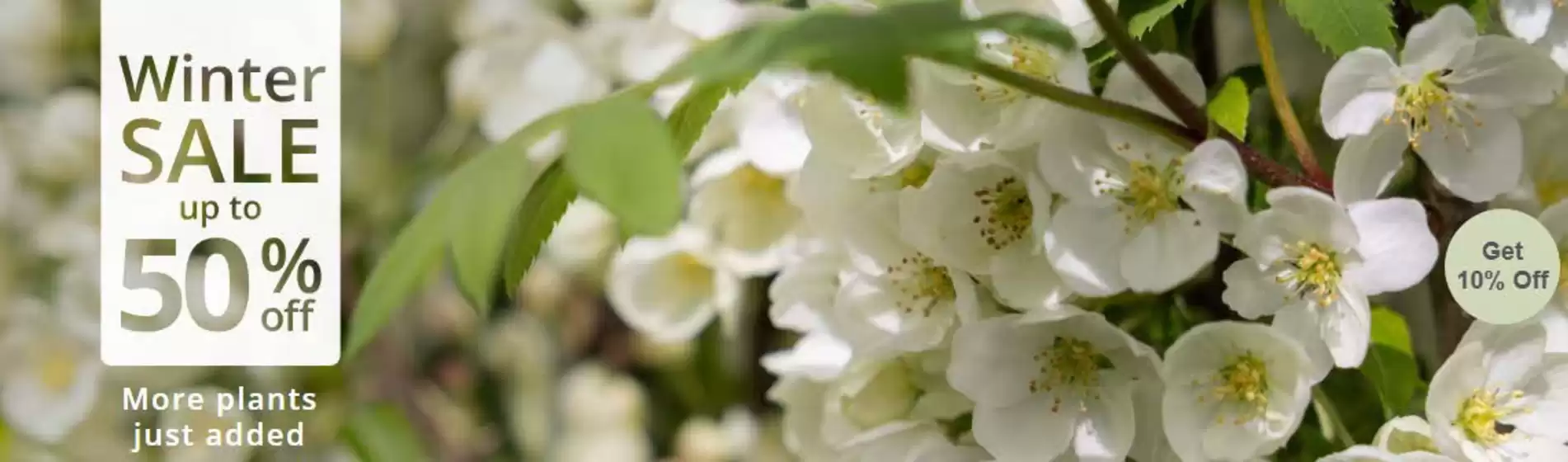 Crocus catalogue in Maidstone | Winter Sale Up To 50% Off~ | 2026-01-16T00:00:00.000Z - 2026-02-11T00:00:00.000Z