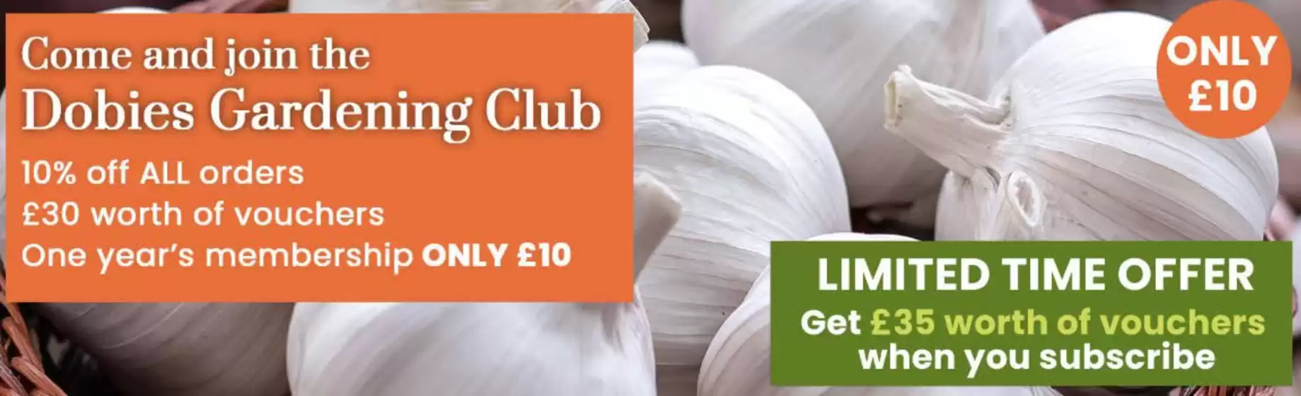 Dobbies Garden Centre catalogue in Brechin | Come And Join The Dobies Gardening Club | 2026-01-27T00:00:00.000Z - 2026-02-17T00:00:00.000Z