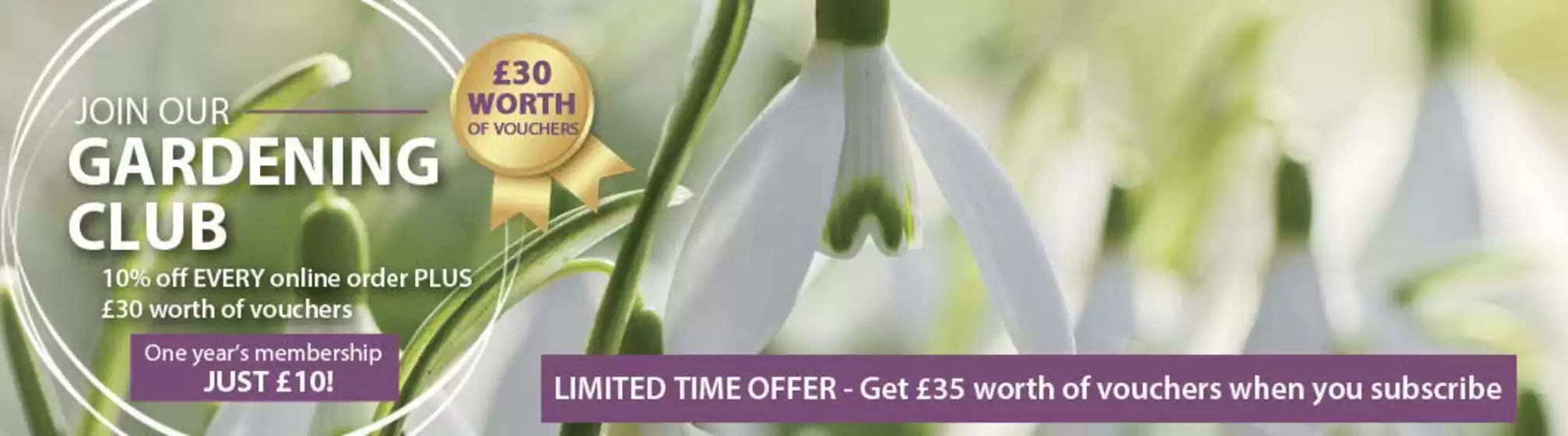 Thompson & Morgan catalogue in Brechin | Gardening Club | 2026-01-27T00:00:00.000Z - 2026-02-21T00:00:00.000Z