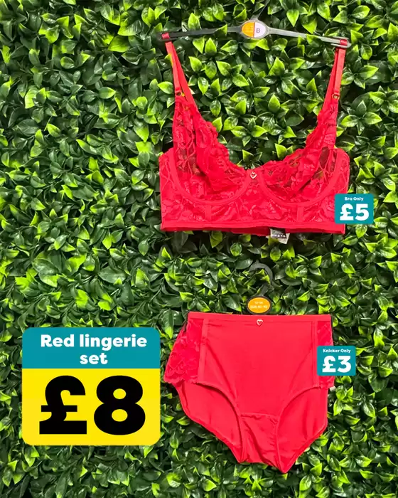 Poundland catalogue in Withernsea | Red Lingerie Set | 2026-02-12T00:00:00.000Z - 2026-02-24T00:00:00.000Z
