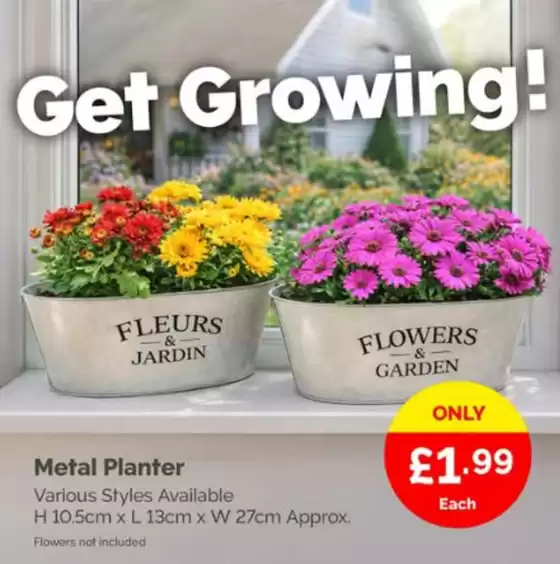 Poundstretcher catalogue in Newport | Get Growing! | 2026-02-23T00:00:00.000Z - 2026-03-08T00:00:00.000Z