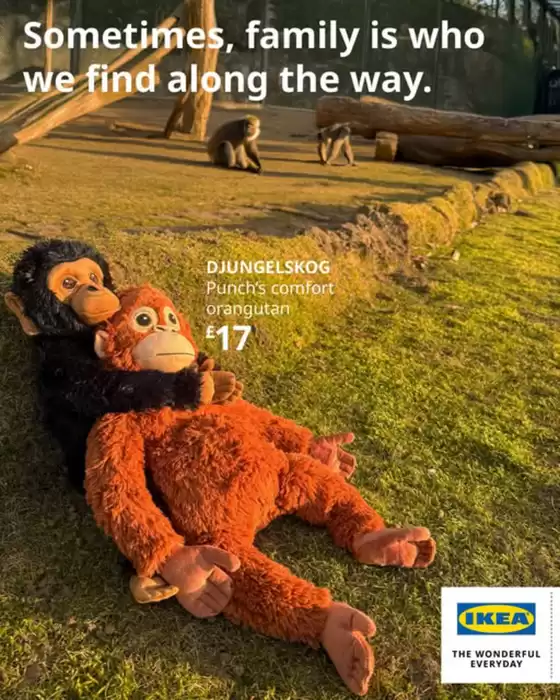 IKEA catalogue in Sleights | Sometime, Family Is Who We Fin Along The Way. | 2026-02-24T00:00:00.000Z - 2026-03-17T00:00:00.000Z