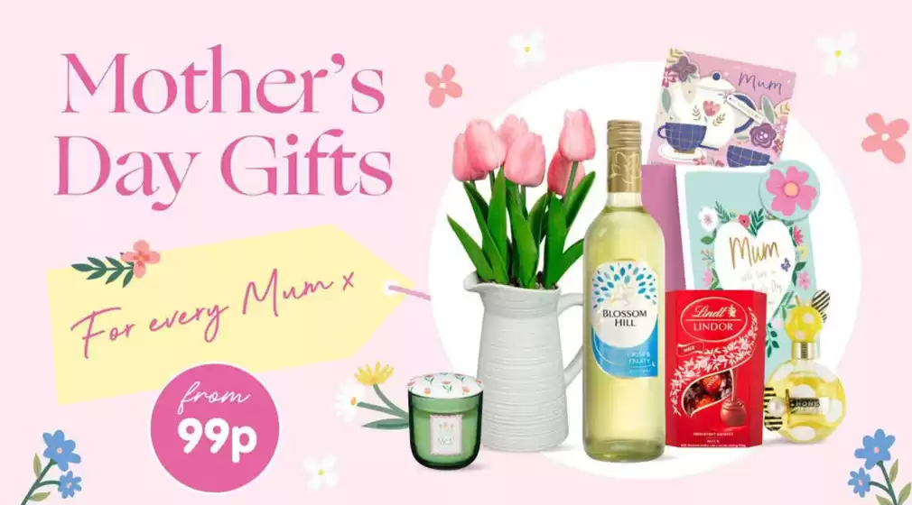 B&M Stores catalogue in Market Drayton | Pots & Planters | 2026-03-03T00:00:00.000Z - 2026-03-17T00:00:00.000Z