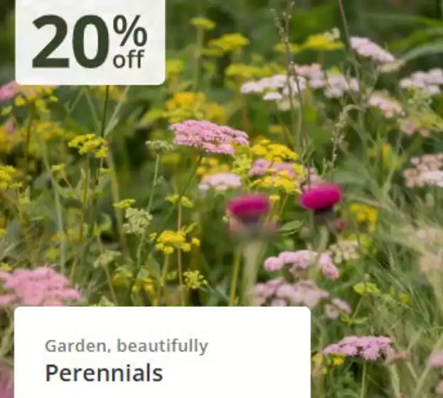 Crocus catalogue in Tranent | Up To 20% Off`  | 2026-04-29T00:00:00.000Z - 2026-05-13T00:00:00.000Z