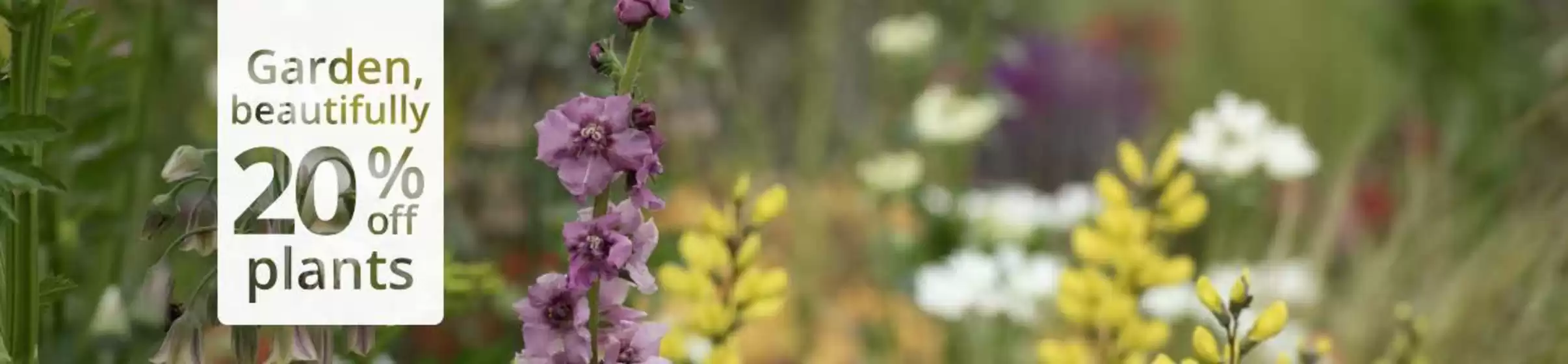 Crocus catalogue | Garden Beautifully 20% Off Plants | 2026-04-29T00:00:00.000Z - 2026-05-11T00:00:00.000Z