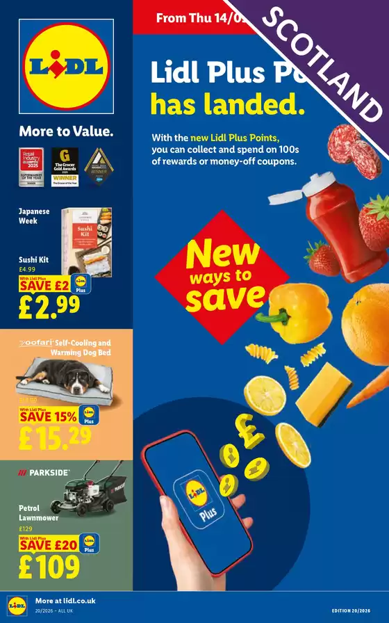 main_flyer image