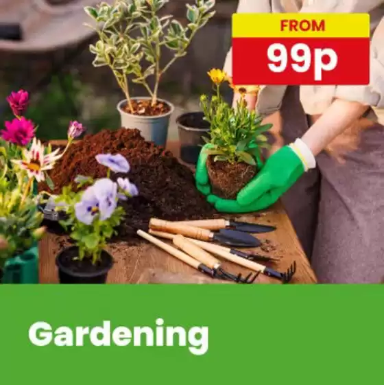 Poundstretcher catalogue in Madeley | From 99p | 2026-06-01T00:00:00.000Z - 2026-06-22T00:00:00.000Z