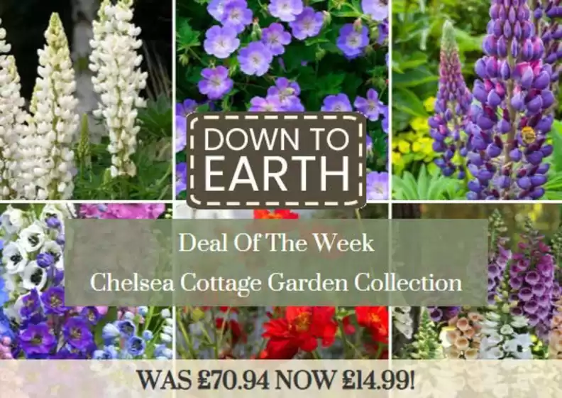 Dobbies Garden Centre catalogue | Down To Earth` | 2026-06-02T00:00:00.000Z - 2026-06-27T00:00:00.000Z