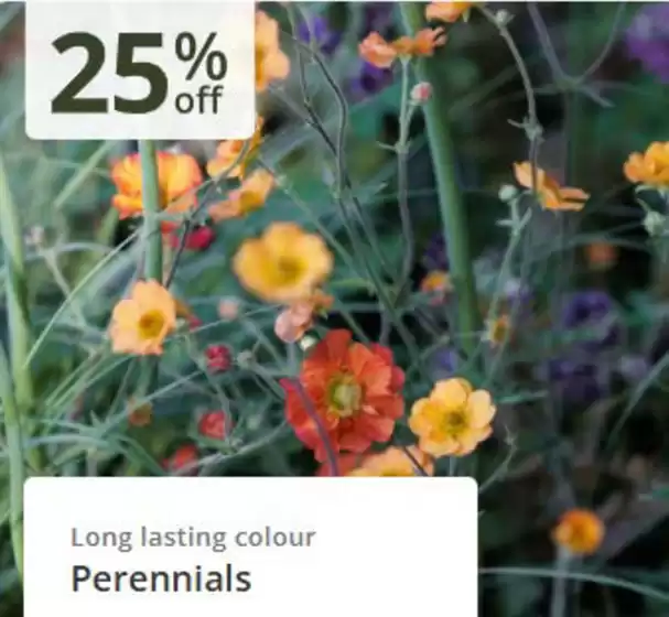 Crocus catalogue in Bristol | 25% Off` | 2026-06-11T00:00:00.000Z - 2026-06-29T00:00:00.000Z