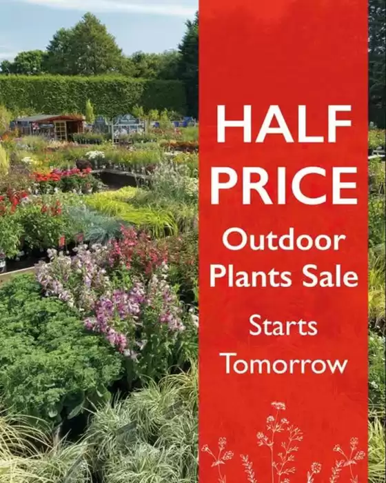 Hillier Garden Centres catalogue in Chorleywood | Half Price Outdoor Plants Sale | 2026-07-02T00:00:00.000Z - 2026-07-29T00:00:00.000Z