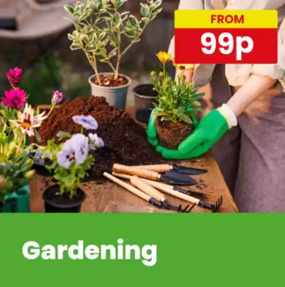 Poundstretcher catalogue in Harrow | Gardening | 2026-07-02T00:00:00.000Z - 2026-07-19T00:00:00.000Z