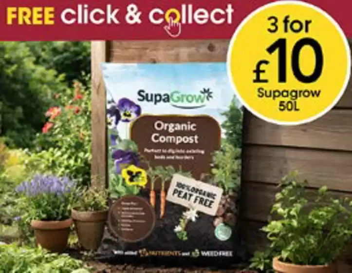 Wilko catalogue | Free Click & Collect* | 2026-08-10T00:00:00.000Z - 2026-08-24T00:00:00.000Z