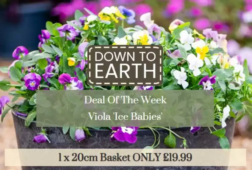 Dobbies Garden Centre catalogue in Kidwelly | Down To Earth | 2026-08-12T00:00:00.000Z - 2026-08-25T00:00:00.000Z