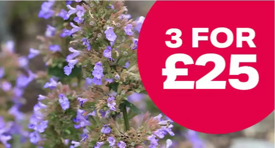 Webbs catalogue in Watford | 3 For £25 | 2026-08-20T00:00:00.000Z - 2026-09-09T00:00:00.000Z