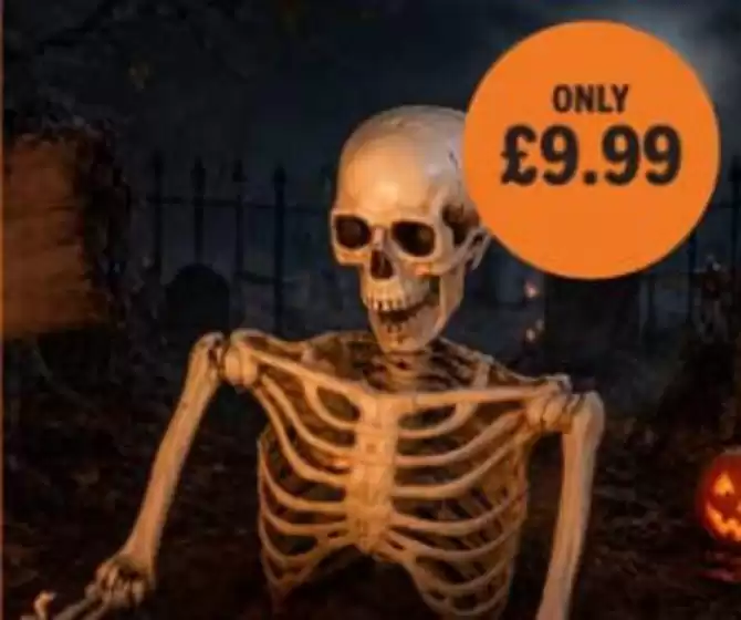 Home Bargains catalogue in Bishopston | Only £9.99 | 2026-08-21T00:00:00.000Z - 2026-09-09T00:00:00.000Z