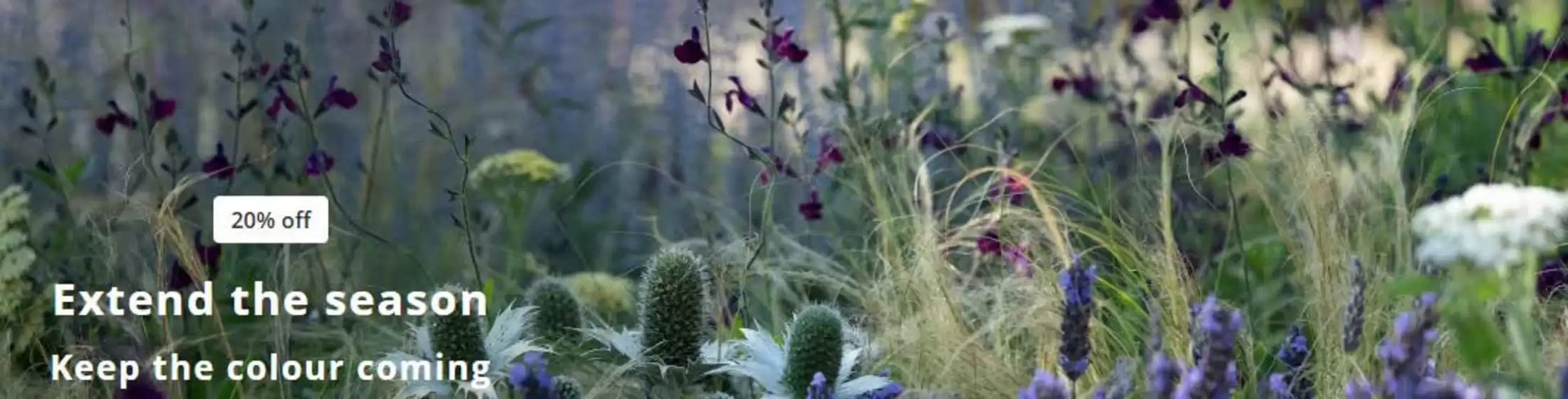 Crocus catalogue | Extend The Season | 2026-09-02T00:00:00.000Z - 2026-09-19T00:00:00.000Z