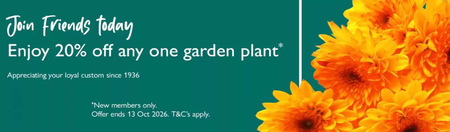 Squires Garden Centres catalogue | Enjoy 20% Off Any One Garden Plant | 2026-09-02T00:00:00.000Z - 2026-10-13T00:00:00.000Z