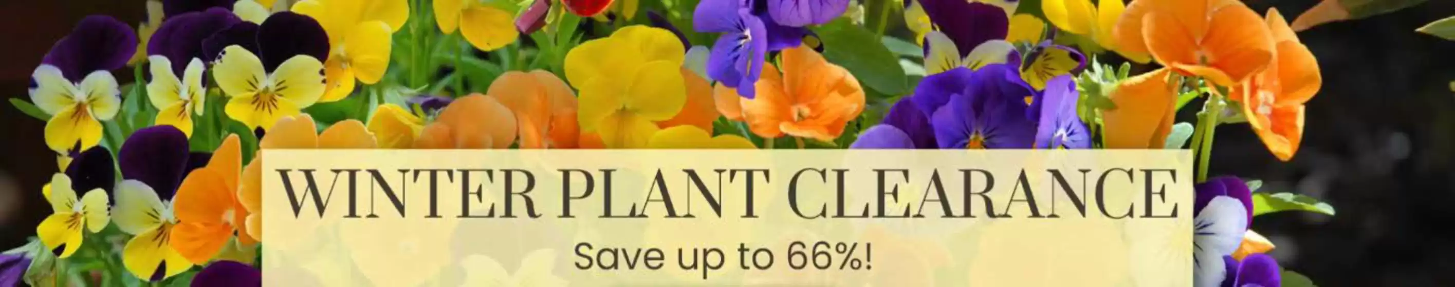 Dobbies Garden Centre catalogue in Spalding | Winter Plant Clearance | 2026-10-02T00:00:00.000Z - 2026-10-19T00:00:00.000Z