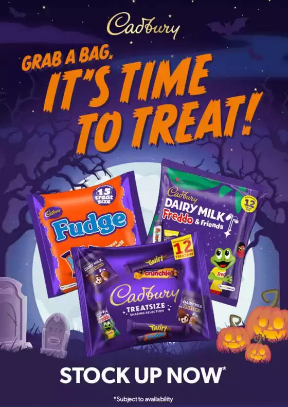 main_flyer image