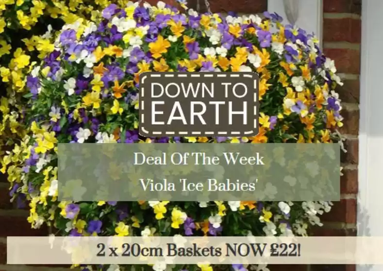 Dobbies Garden Centre catalogue | Down To Earth! | 2026-10-13T00:00:00.000Z - 2026-10-26T00:00:00.000Z