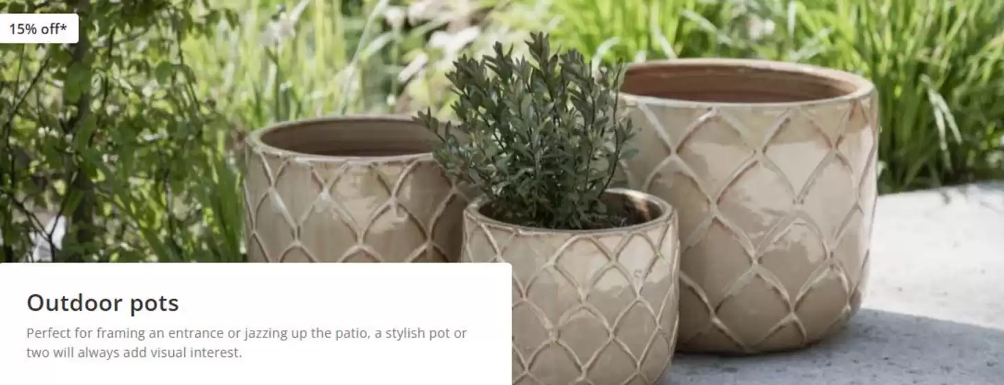 Crocus catalogue in Basildon | Outdoor Pots | 2026-10-13T00:00:00.000Z - 2026-11-03T00:00:00.000Z