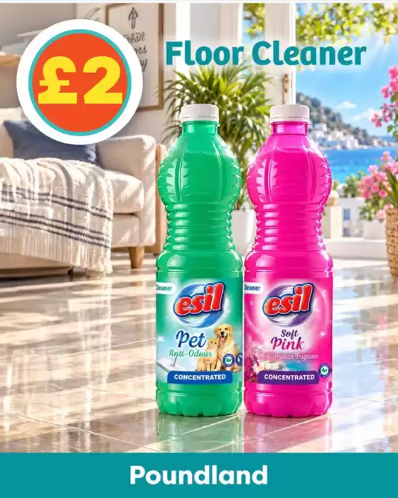 Poundland catalogue in Wittering | Flloe Cleaner | 2026-10-27T00:00:00.000Z - 2026-11-16T00:00:00.000Z