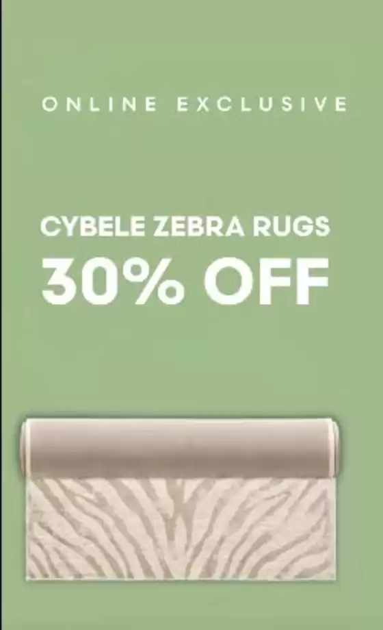 Robert Dyas catalogue | Cybele Zebra Rugs 30% Off | 2026-10-29T00:00:00.000Z - 2026-11-03T00:00:00.000Z