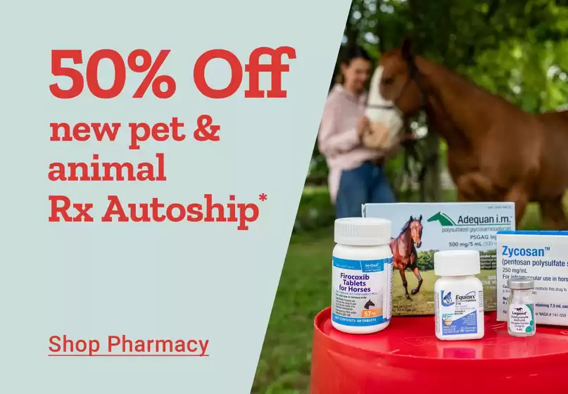 Attractive special offers for everyone