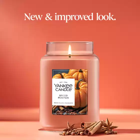 Discover attractive offers