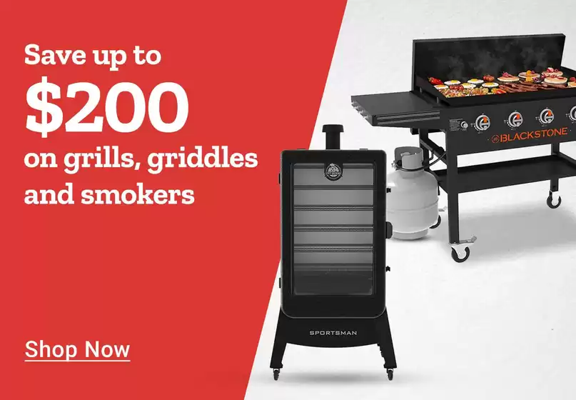 Our best deals for you
