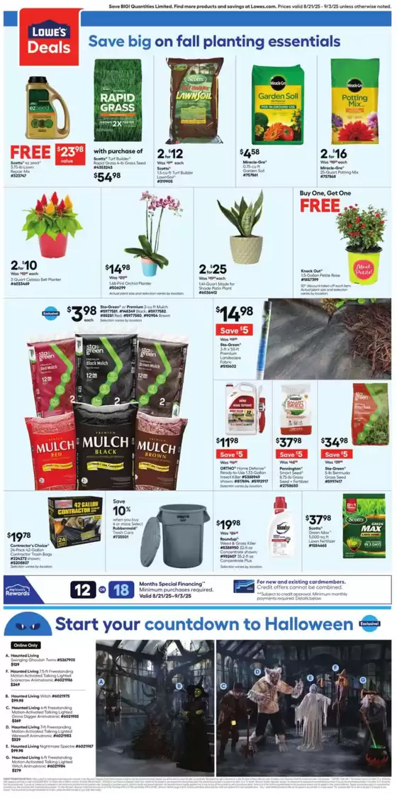 Top offers for all bargain hunters
