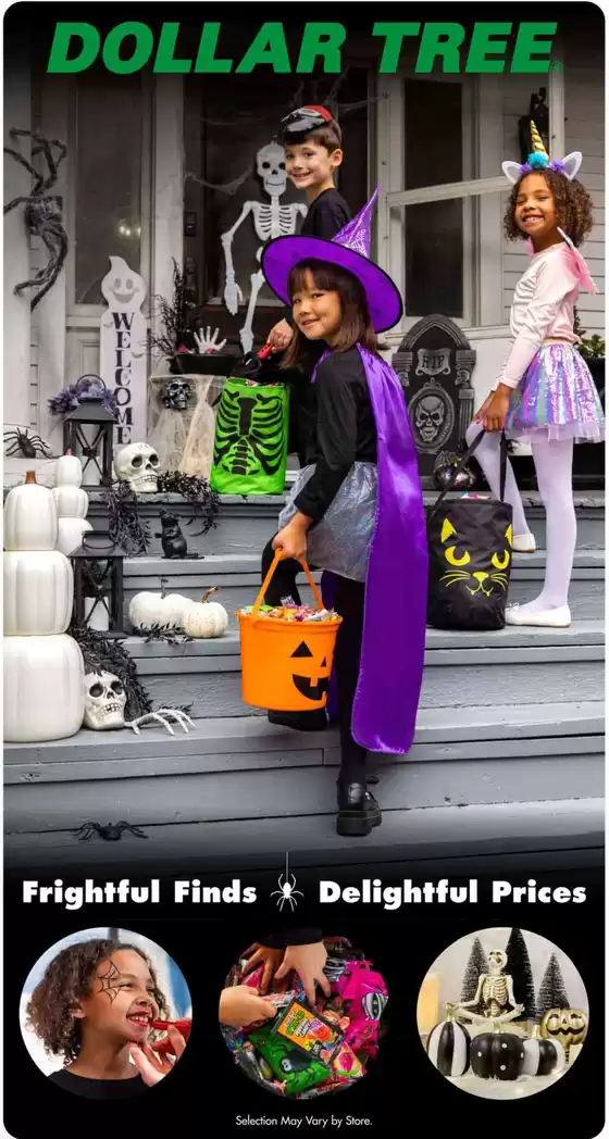 Dollar Tree catalogue in Champaign IL | Weekly Ads Dollar Tree | 2025-09-02T00:00:00.000Z - 2025-09-20T00:00:00.000Z