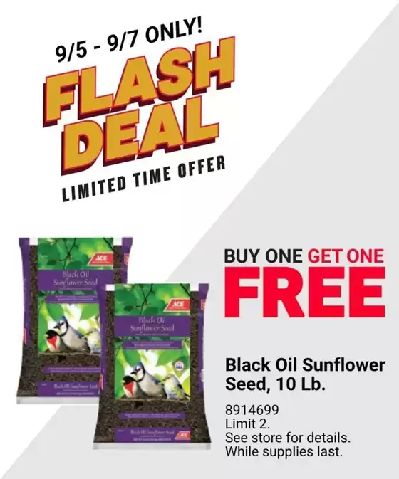 Ace Hardware catalogue in Sarasota FL | Top deals for all customers | 2025-09-02T00:00:00.000Z - 2025-09-16T00:00:00.000Z