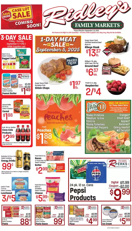 Our best bargains