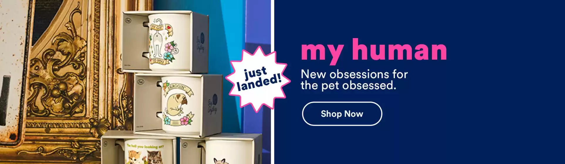 Petco catalogue in Arlington Heights IL | Discover attractive offers | 2025-09-03T00:00:00.000Z - 2025-09-17T00:00:00.000Z