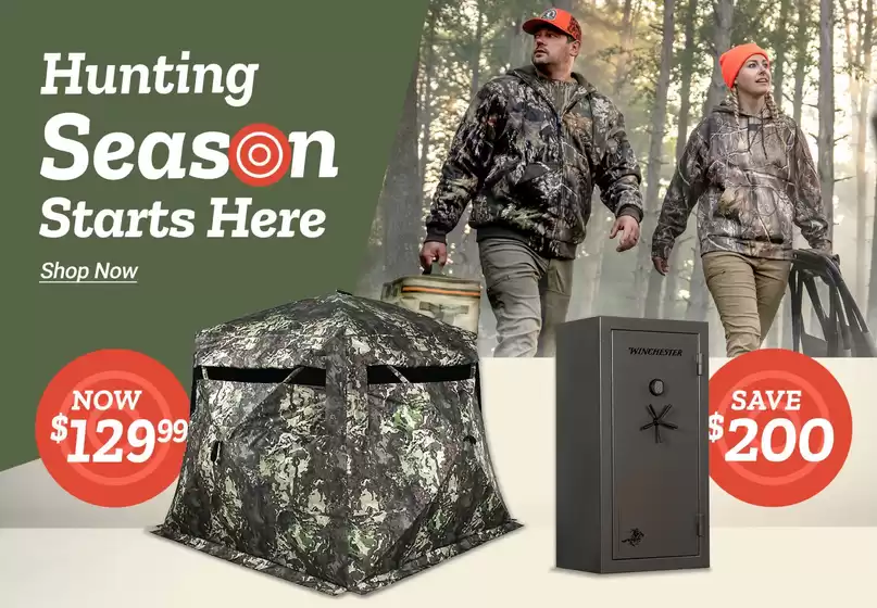 Discounts and promotions