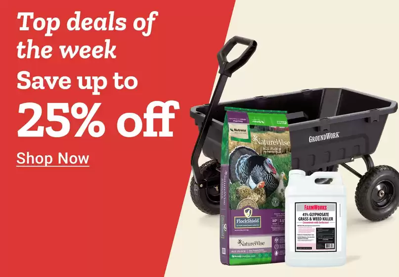 Discounts and promotions