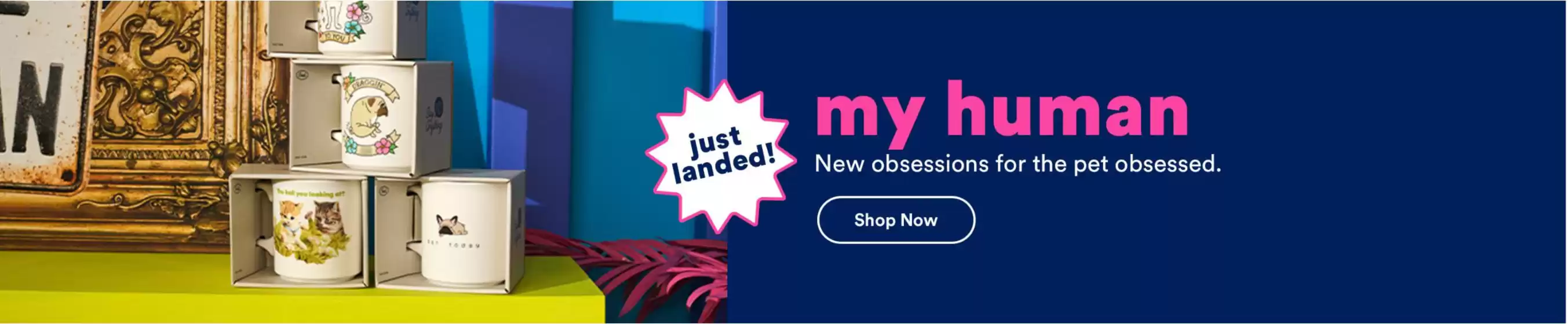 Petco catalogue in Earlysville VA | New offers to discover | 2025-09-10T00:00:00.000Z - 2025-09-24T00:00:00.000Z