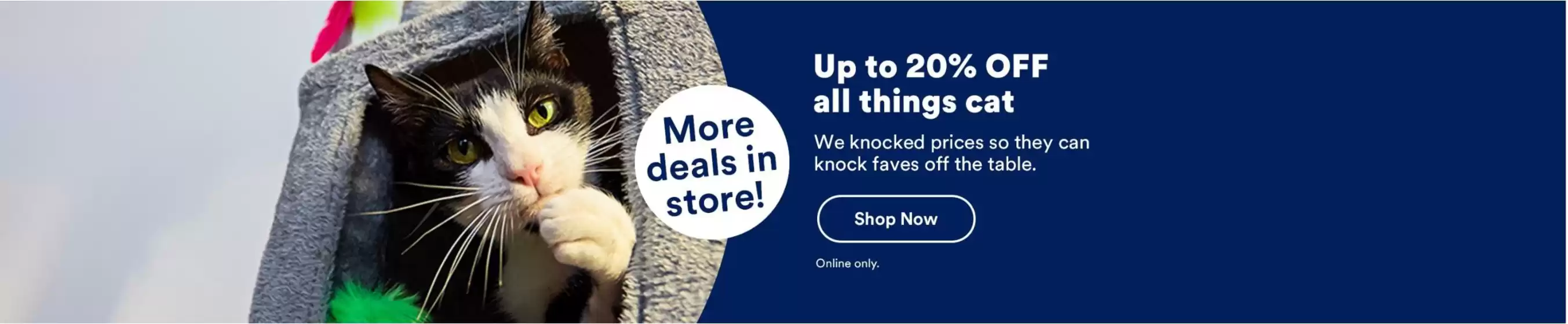 New offers to discover