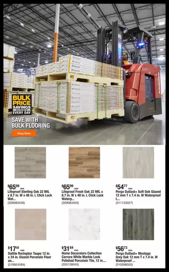 Home Depot flyer