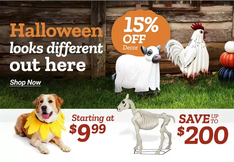 Exclusive deals for our customers