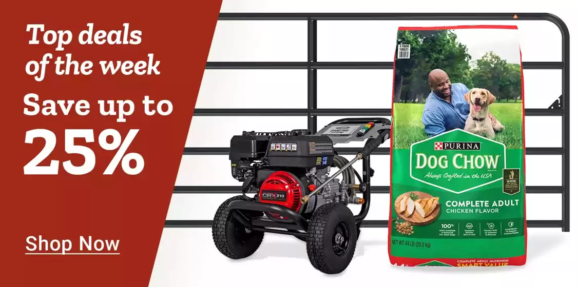 Top offers for smart savers