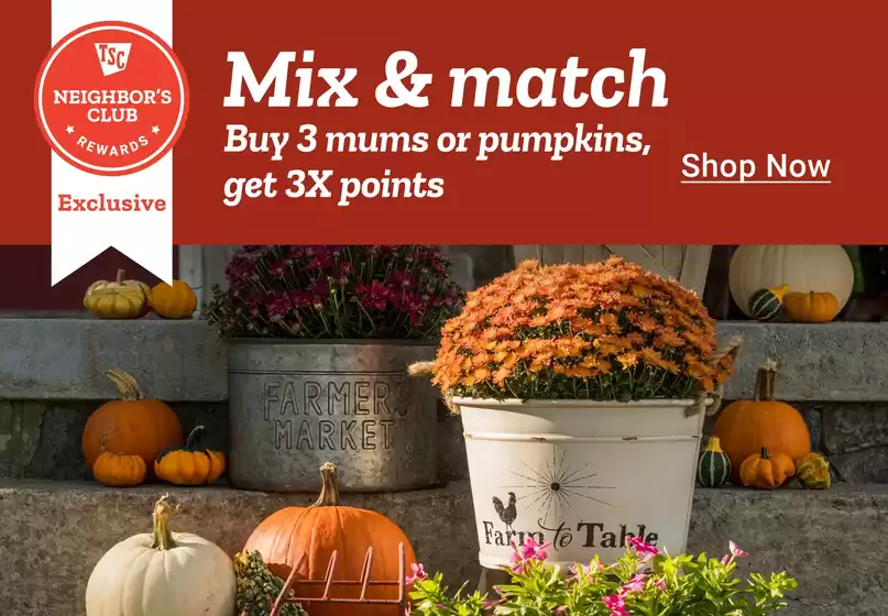 Current special promotions
