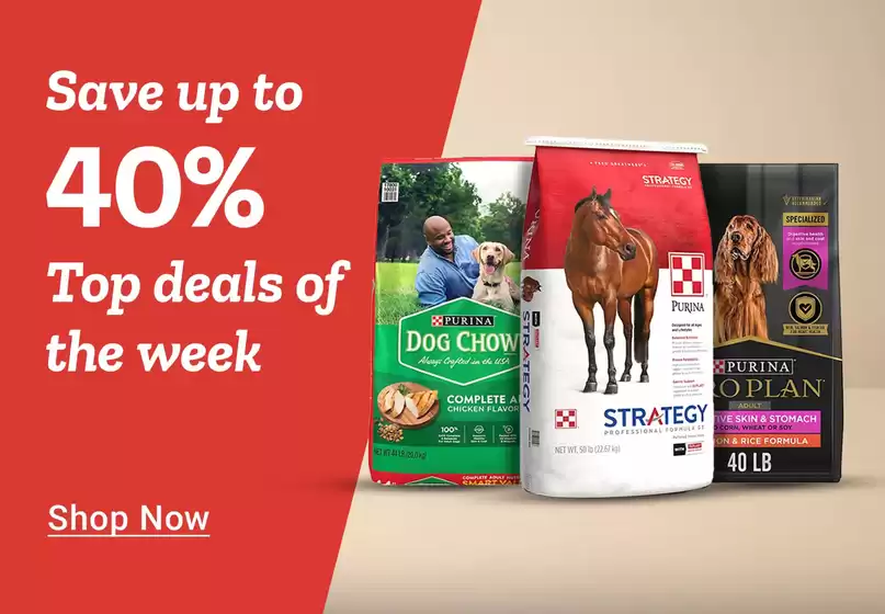 Top offers for smart savers